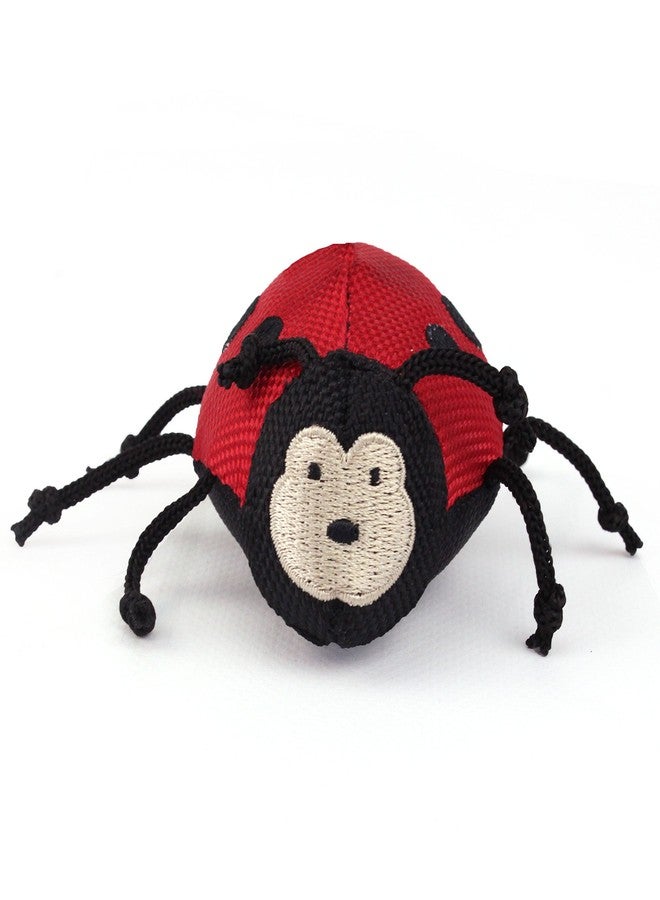 بيكو لعبة عصا بيكو للحيوانات الأليفة - لوتي الدعسوقة، لعبة محشوة ناعمة بنبات النعناع البري مع حبل مطاطي - لعبة للقطط - Image 2